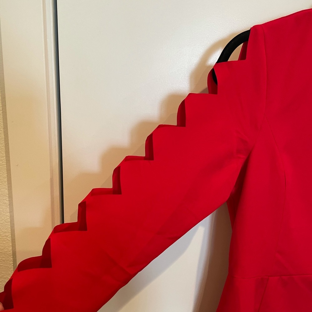 Lulus long sleeve dress - worn once!